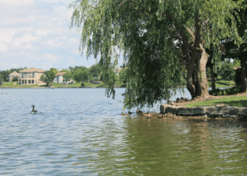 Maintenance & Lake Management