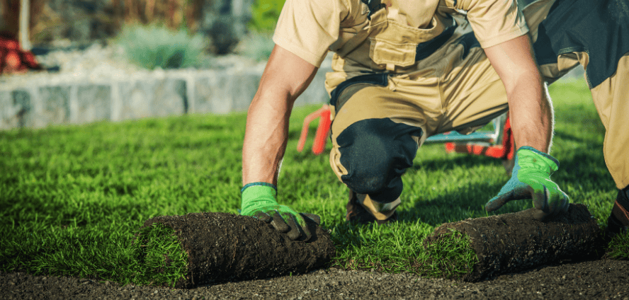 Landscaping and Sidewalks Landscaping and Sidewalks