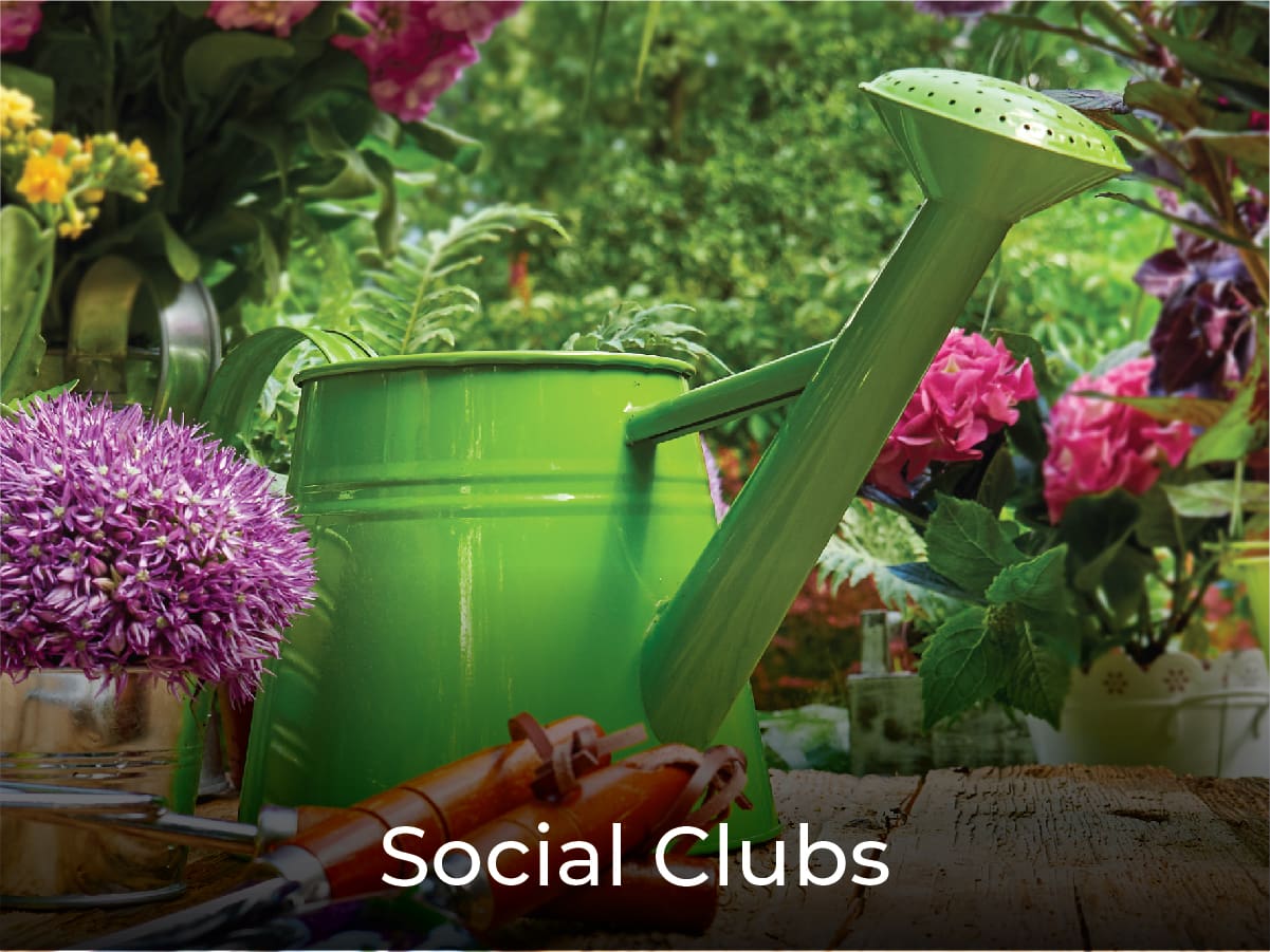 Social Clubs Social Clubs
