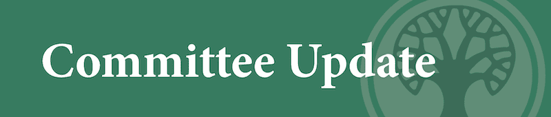 Lakewood Security Committee July 2026 Memo | Teen Takeovers